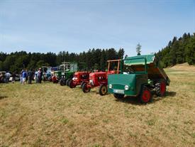 Oldtimertreffen Raich 2015